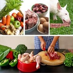 Raw food diets for dogs