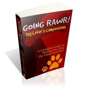 Learn How To Feed Your Dog A Raw Food Diet The Right Way:Important!