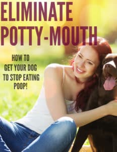 Eliminate Potty Mouth in a Dog - A Guide To Help Stop Coprophagia
