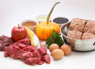When Should Dogs Begin Eating A Raw Diet? Raw Dog Food