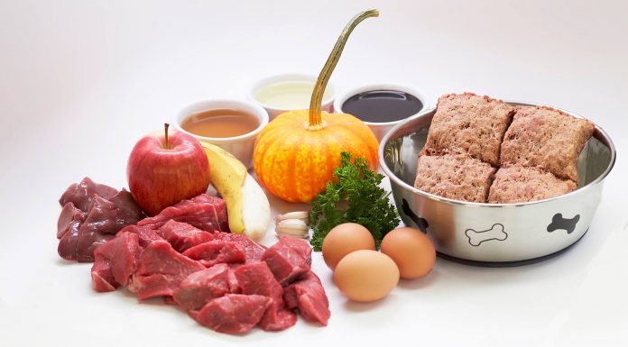 When Should Dogs Begin Eating A Raw Diet? Raw Dog Food