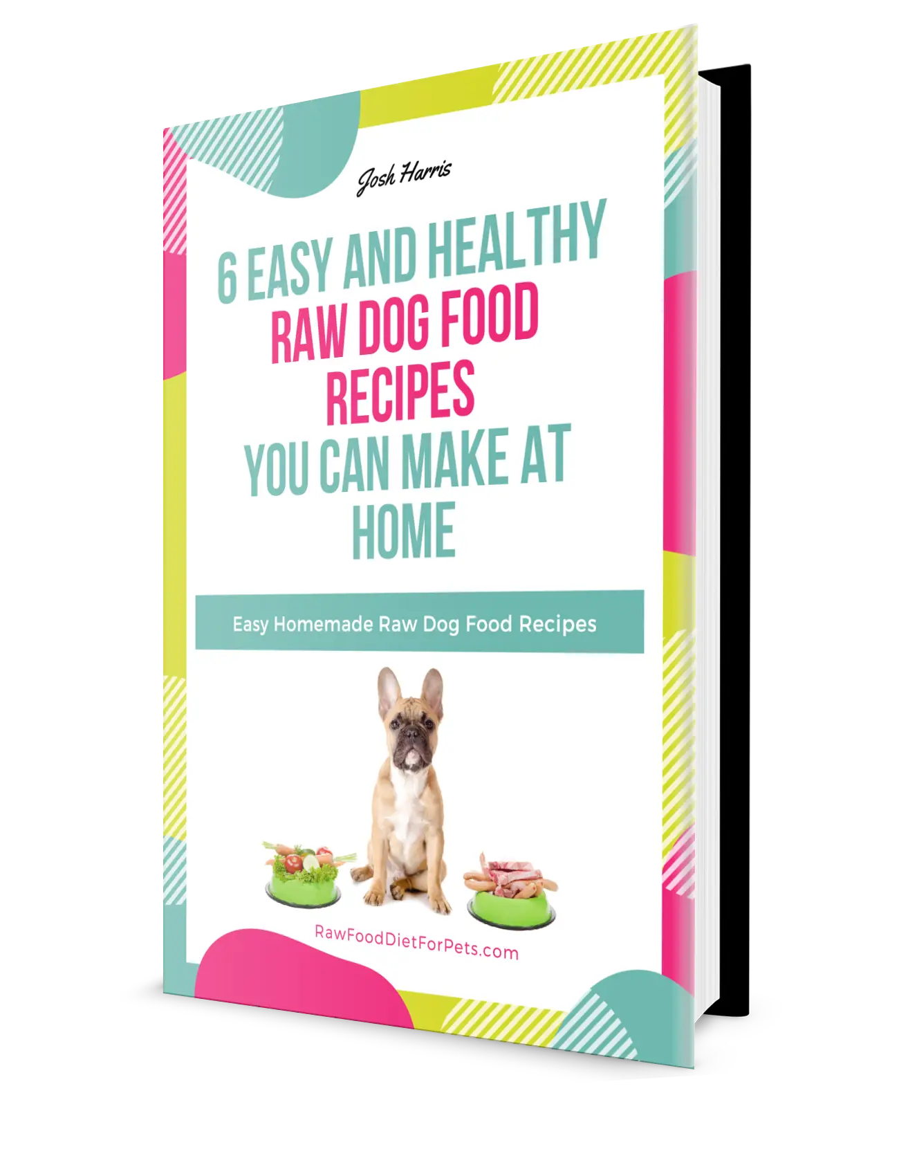 raw food dog recipies book