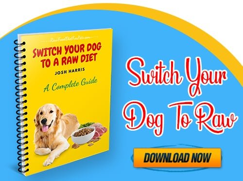 Raw Diet Chart For Dogs