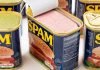Can Dogs Eat Spam? Can Dogs Eat Spam?