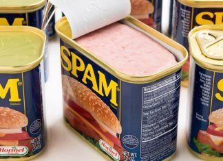 Can Dogs Eat Spam? Can Dogs Eat Spam?