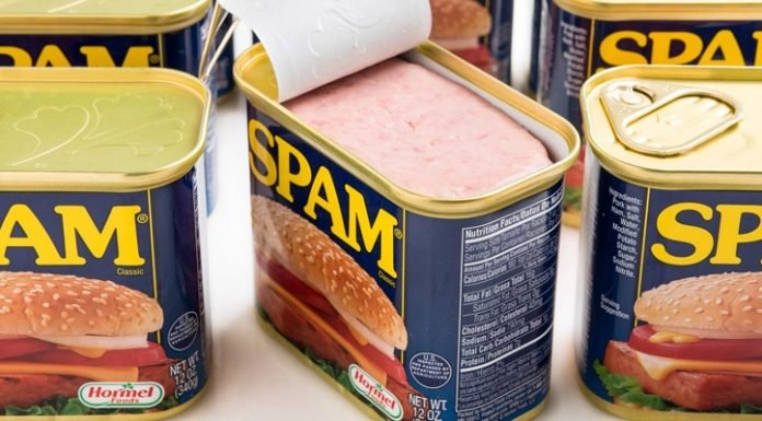 Can Dogs Eat Spam? Can Dogs Eat Spam?