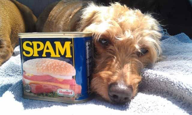 Nutritional Value of Spam
