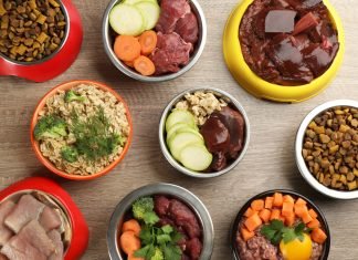 6 Easy and Healthy Raw Dog Food Recipes You Can Make at Home raw dog food recipes