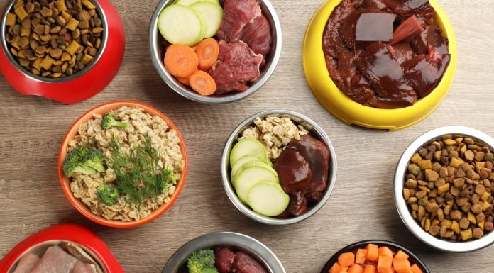 6 Easy and Healthy Raw Dog Food Recipes You Can Make at Home raw dog food recipes